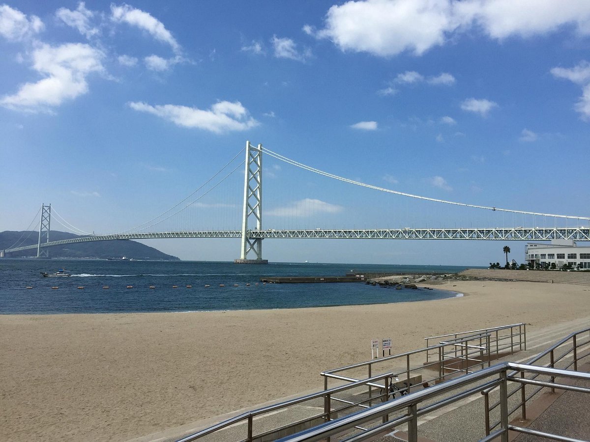 🏖️ 아주르 마이코 이미지 9